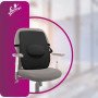 Flamingo Back Rest (Large) OC 2144 - Ergonomic Back Support