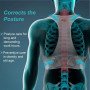 Tynor Posture Corrector A-33 |