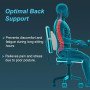 Tynor Lumbo-Back Rest L-91 for Back Pain Relief & Support