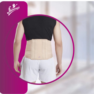 Flamingo Premium Lumbar Sacro Belt Support | Back Pain Relief