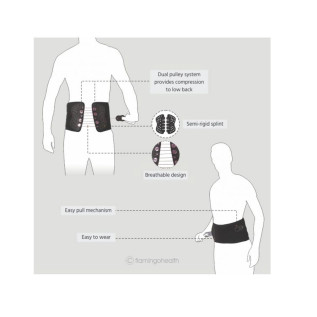 Flamingo Lacepull Back Belt OC 2454 – Ultimate Back Support