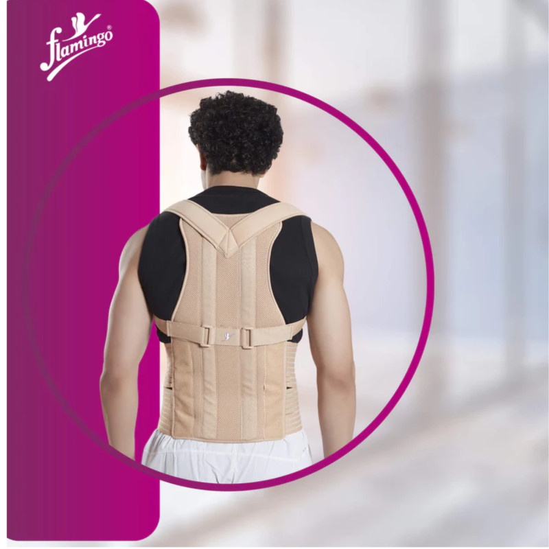 Flamingo Compact Spinal Brace OC 2363 – Superior Back Support for Posture & Pain Relief Flamingo Compact Spinal Brace OC 2363 – Superior Back Support for Posture & Pain Relief