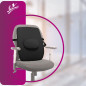 Flamingo Back Rest (Large) OC 2144 - Ergonomic Support for Comfort and Posture Flamingo Back Rest (Large) OC 2144 - Ergonomic Support for Comfort and Posture