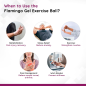 Flamingo Gel Exercise Ball OC 2138 – Hand Therapy, Stress Relief, Strength Training, Pain Relief, Physiotherapy Aid