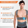 Lower Back Support Belt with Toyar Brace Design