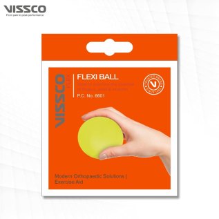 Vissco Flexi Ball latex-free therapy ball set
