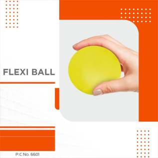 Vissco Flexi Ball – Soft, Medium, Hard Exercise Balls