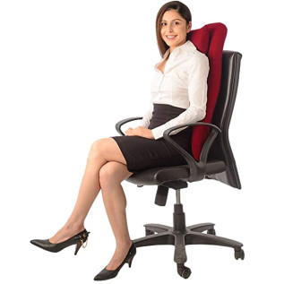 Vissco PC 0108 Orthopaedic Back Support Long for Pain Relief