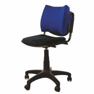 Vissco PC 0117 Moulded Orthopaedic Back Support for Pain Relief