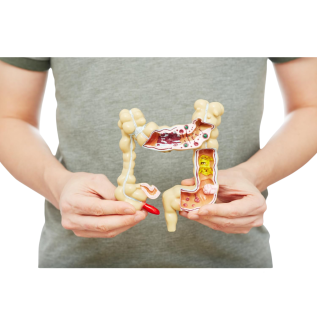 Sodium Phosphate Enema | Disposable Enema Kit & Bowel Cleansing Solution