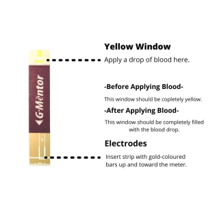 Mentor Glucometer Strips for Accurate Sugar Testing