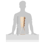 Orthopedic Foot Traction Support for Injury Recovery