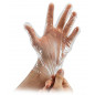 Disposable Transparent Clear Plastic Gloves / Hand Gloves / Pack of 200