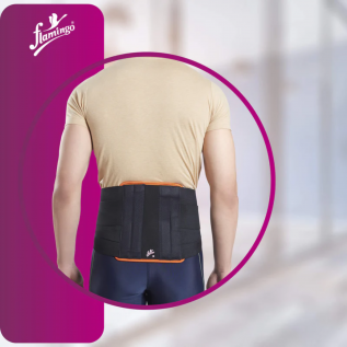 Flamingo Contoured LS Belt OC 2006 – Advanced Lumbar Support for Back Pain Relief, Posture Correction & Comfort