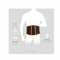 Back Belt: Flamingo Back Comfort Belt OC 2455 – Ergonomic Lumbar Support, Posture Support & All-Day Comfort