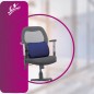 Flamingo Back Rest (Small) OC 2145 - Comfortable Lumbar Support for Home, Office, and Car Use