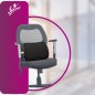 Flamingo Back Rest (Small) OC 2145 - Comfortable Lumbar Support for Home, Office, and Car Use