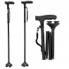 Walking Sticks